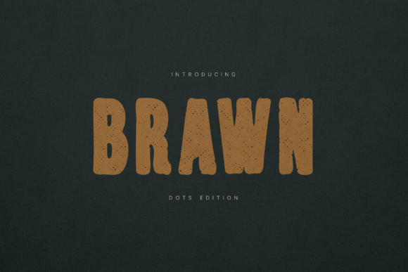 Brawn Dots Edition: A Bold Display Typeface for Small Business Branding