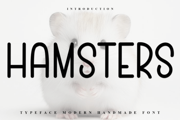 Hamsters: A Modern Display Font for Creative Projects