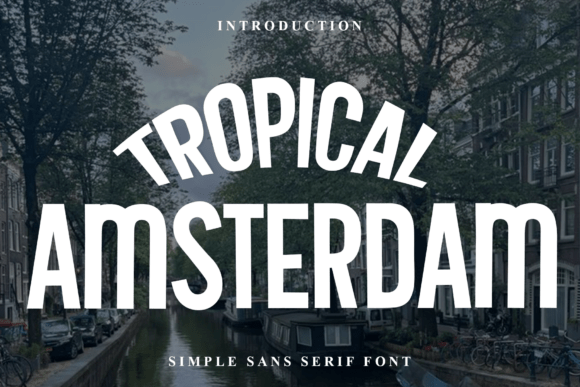 Tropical Amsterdam: A Festive Display Font for Holiday Creators